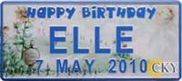 Happy birthday plate - ELLE