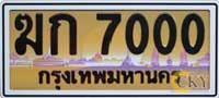 Gold tone graphic license plate