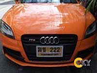 Audi gold license plate in water resist plate frame - front