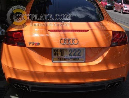Audi gold license plate in water resist plate frame - rear