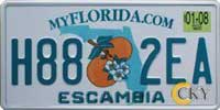 Florida america license plate